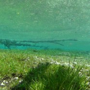 Unterwasseraufnahmen für ein Musikvideo