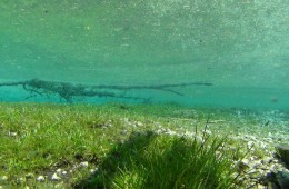 Unterwasseraufnahmen für ein Musikvideo